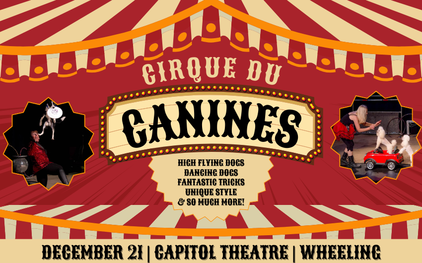 More Info for Cirque du Canines